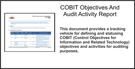 COBIT Objectives And Audit Activity Report